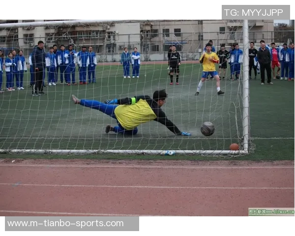 格里菲斯在足球赛场上的辉煌历程与未来发展展望